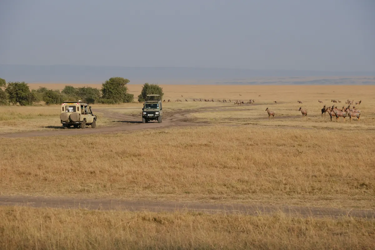 Safari vehicles driving along a dirt road across open savanna